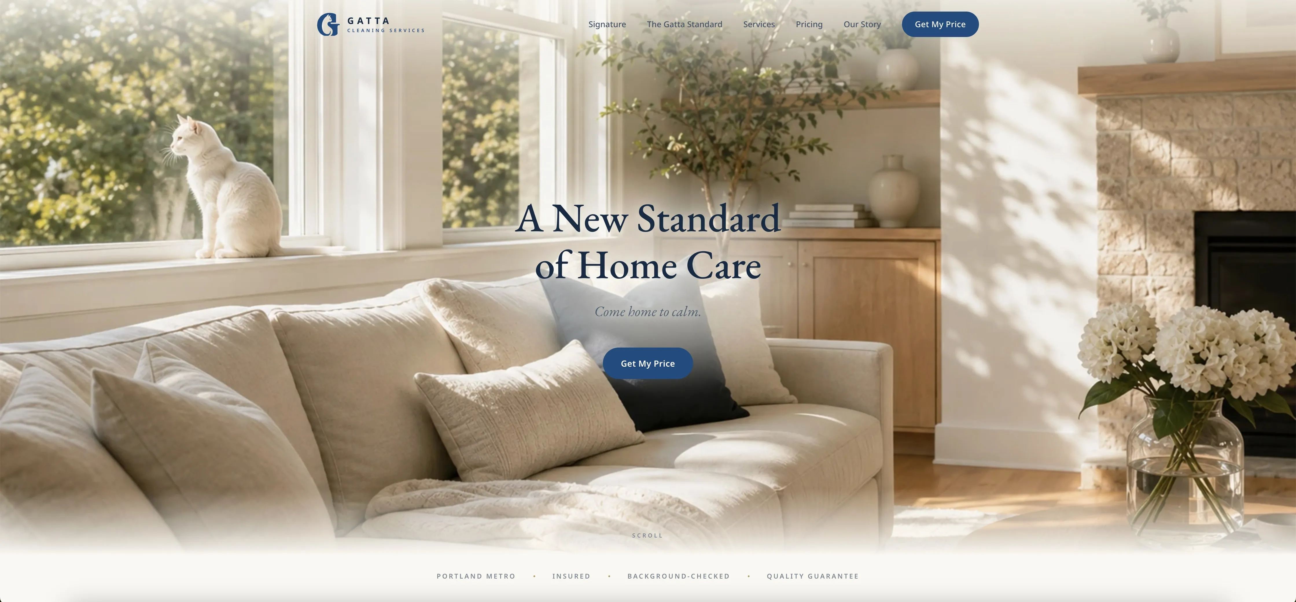 Gatta Cleaning website